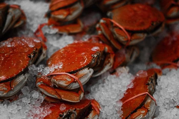 Zoutarm recept voor krab met peer