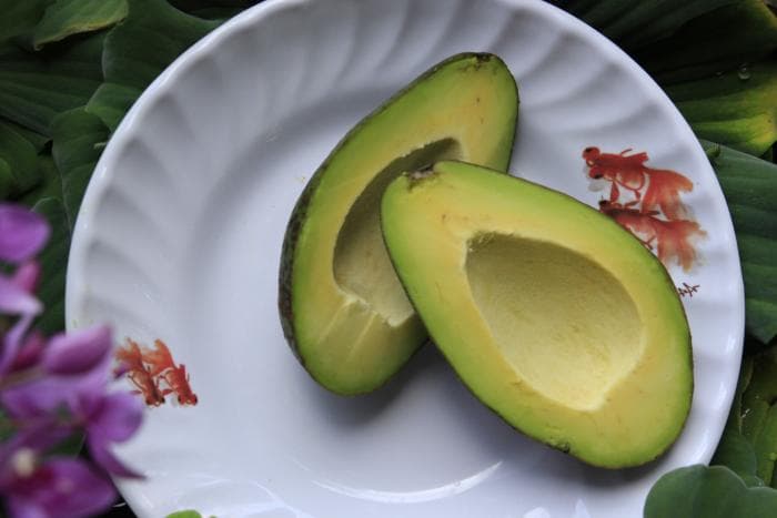 Zoutarm voorgerecht met avocado