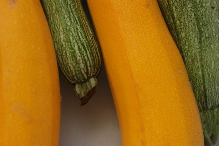 courgettes te vullen met zoutarm gehakt