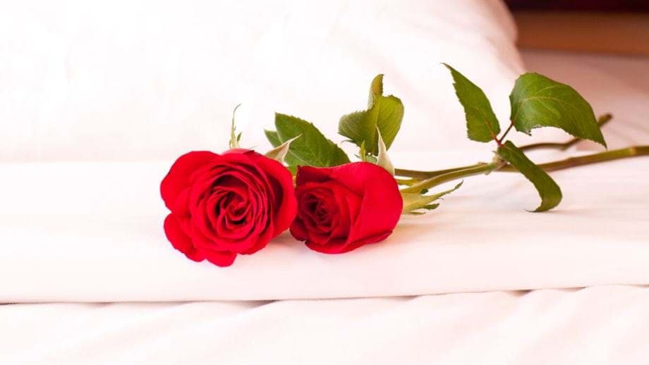 Hoe zit het met jouw seksdrive?