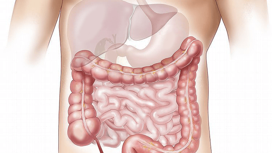 Verstoord microbioom bij transplantatiepatiënten. Wat zijn de gevolgen?