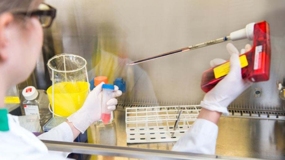 Knippen en plakken met DNA